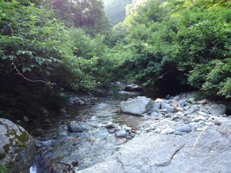 真夏のイワナ釣り